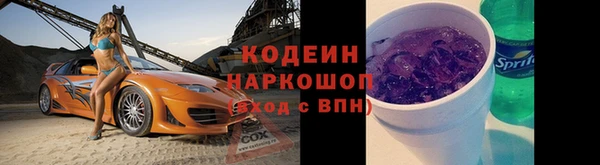 шишки Белоозёрский