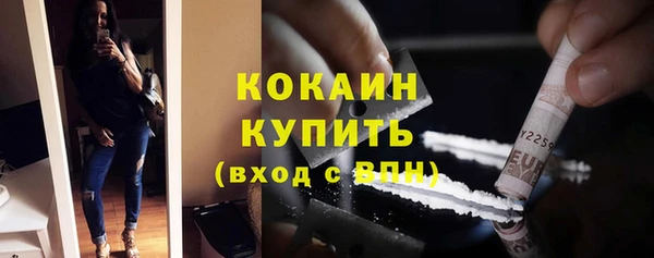 шишки Белоозёрский