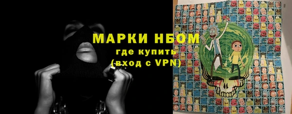 шишки Белоозёрский